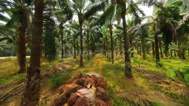 a6f99e83-1584-4f27-a3ce-4367e694763d